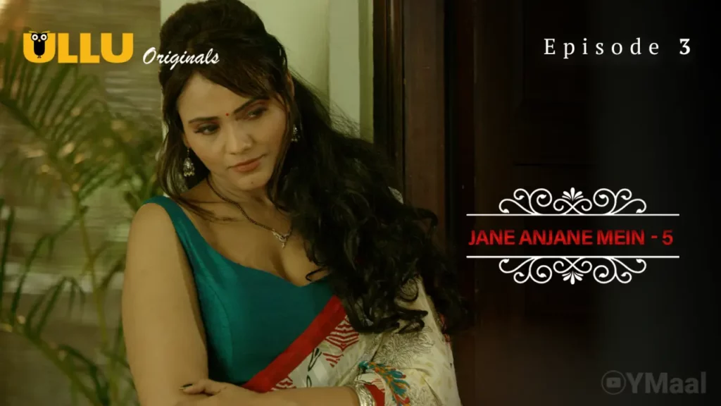Jane Anjane Mein Web Series Poster