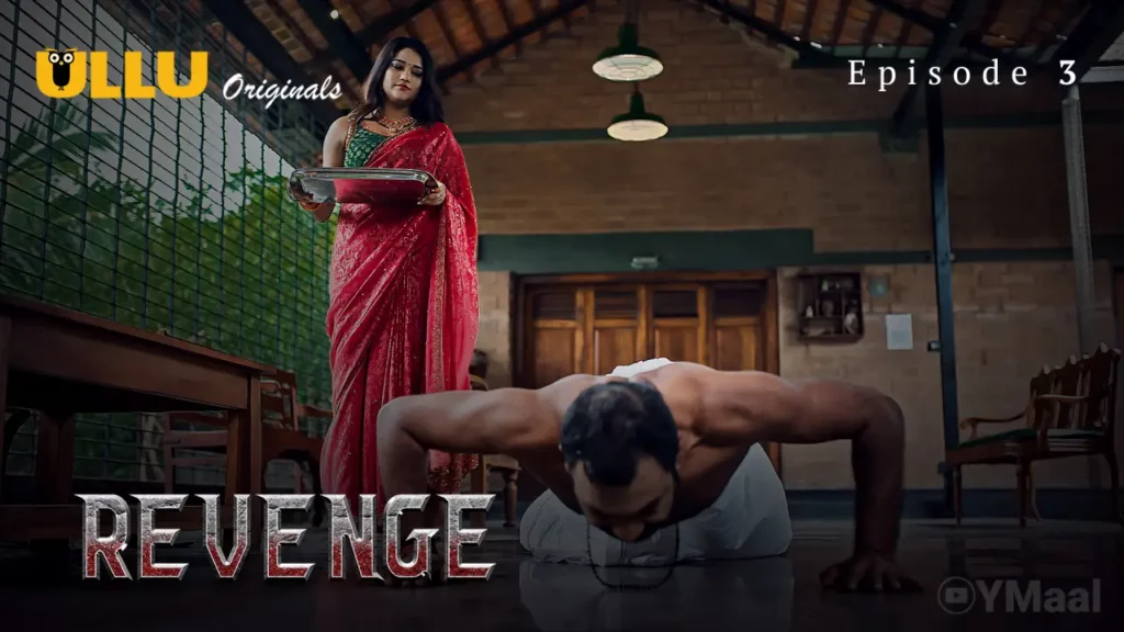 Revenge Web Series Poster