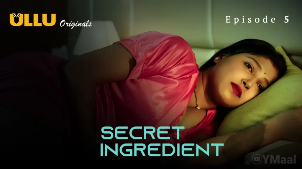 Secret Ingredient Web Series Poster