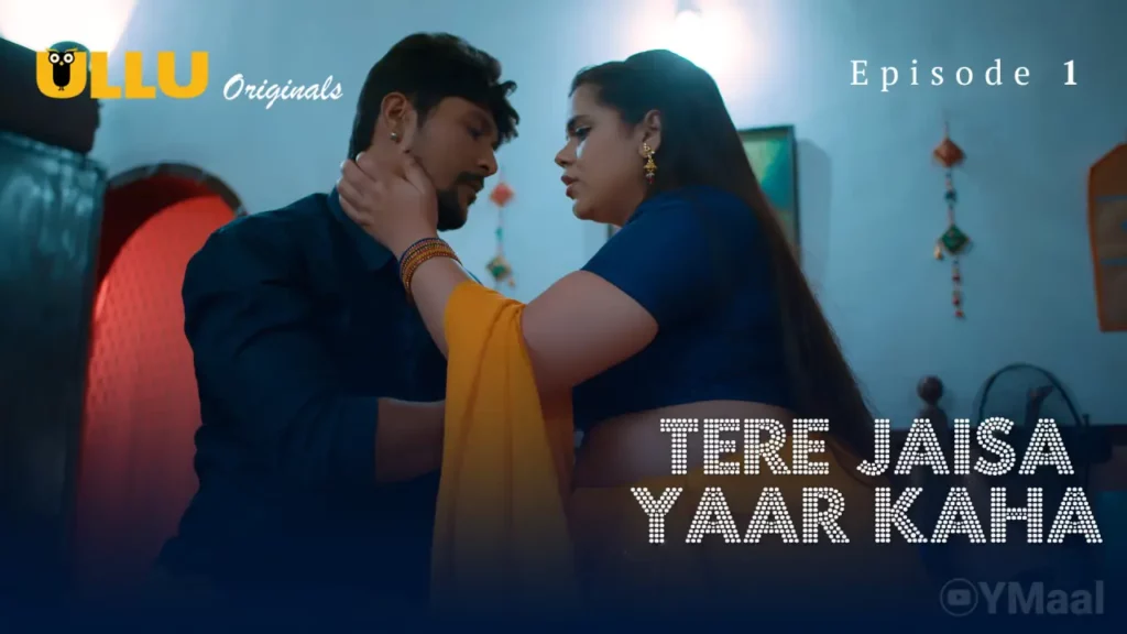 Tere Jaisa Yaar Kaha Web Series Poster