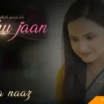 Bahu Jaan Episode 6
